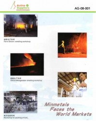 Metales & Minerales - AG-08-001 Minerales, Químicos & Metales | Active Sourcing